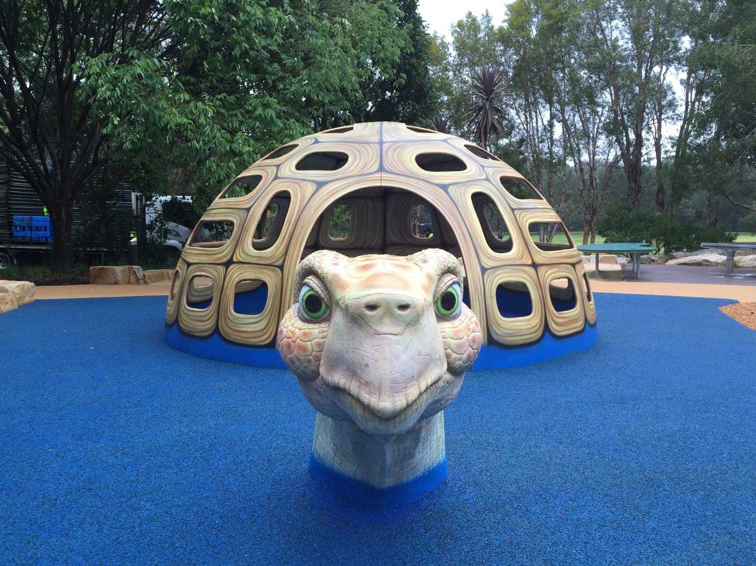 Turtle Cubby Climber