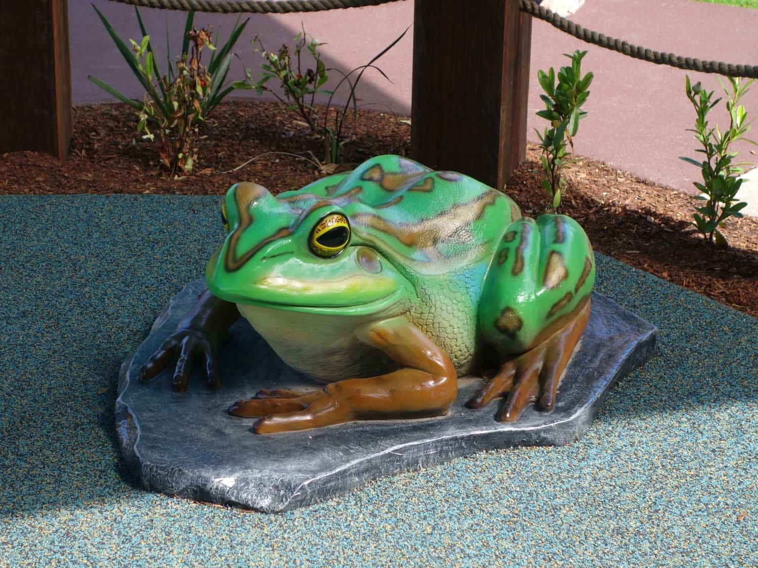 Frog