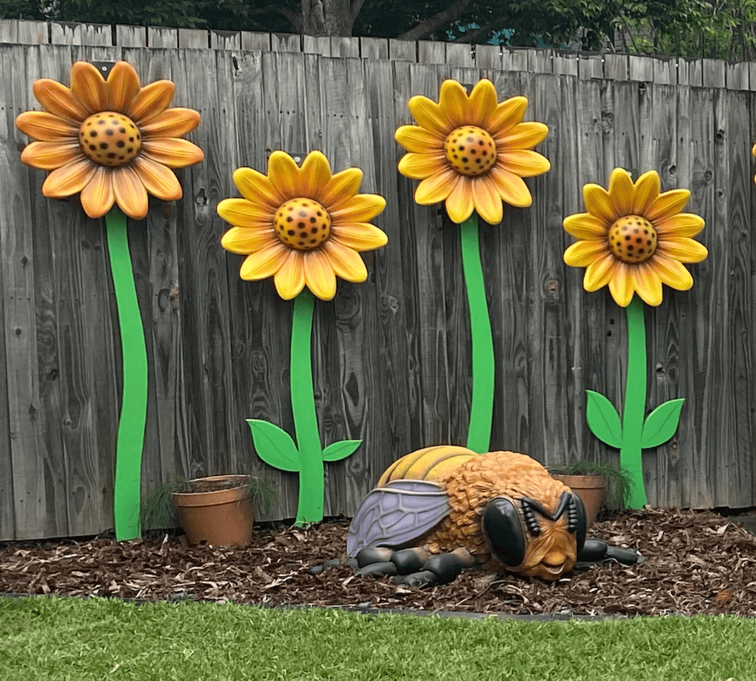Giant Daisy