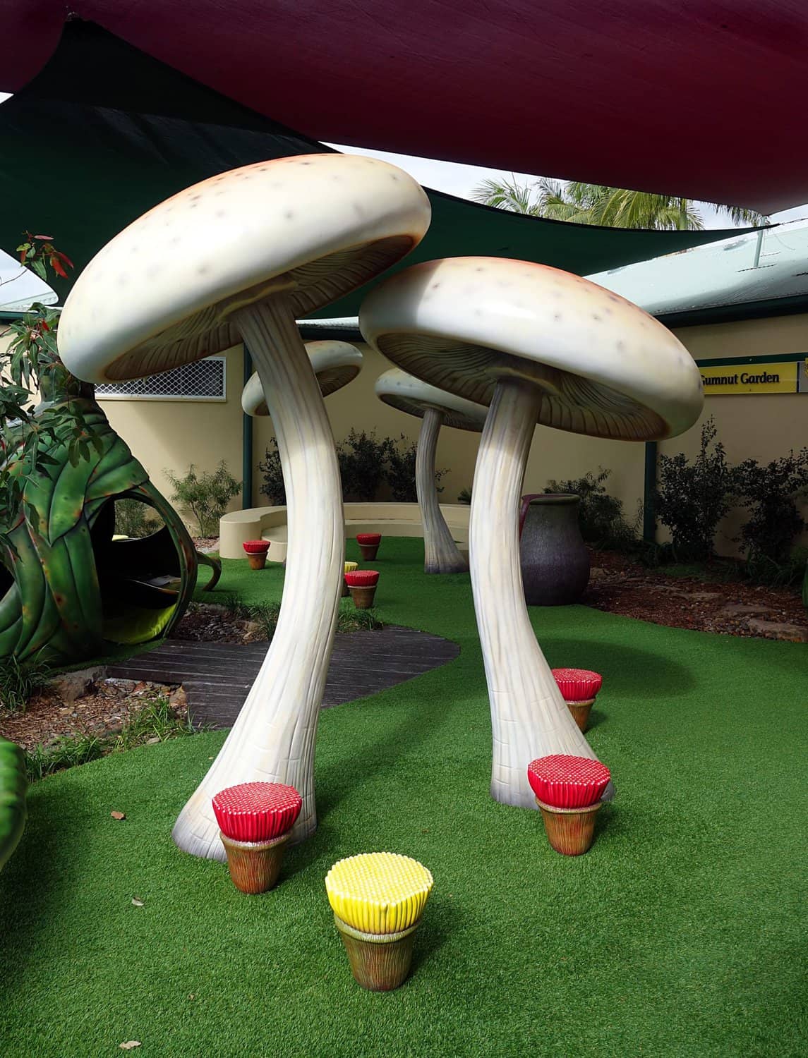 Giant Toadstools