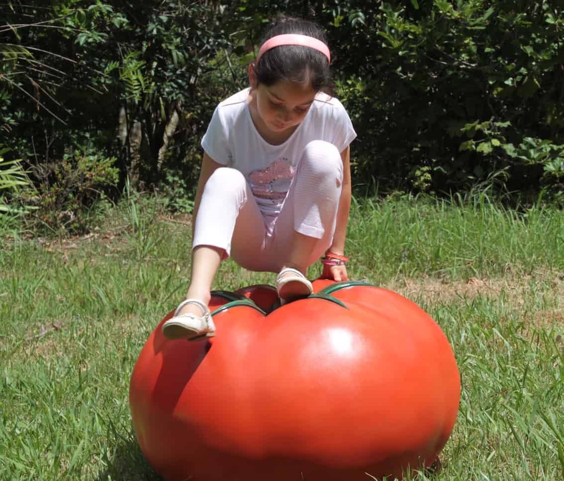 Tomato