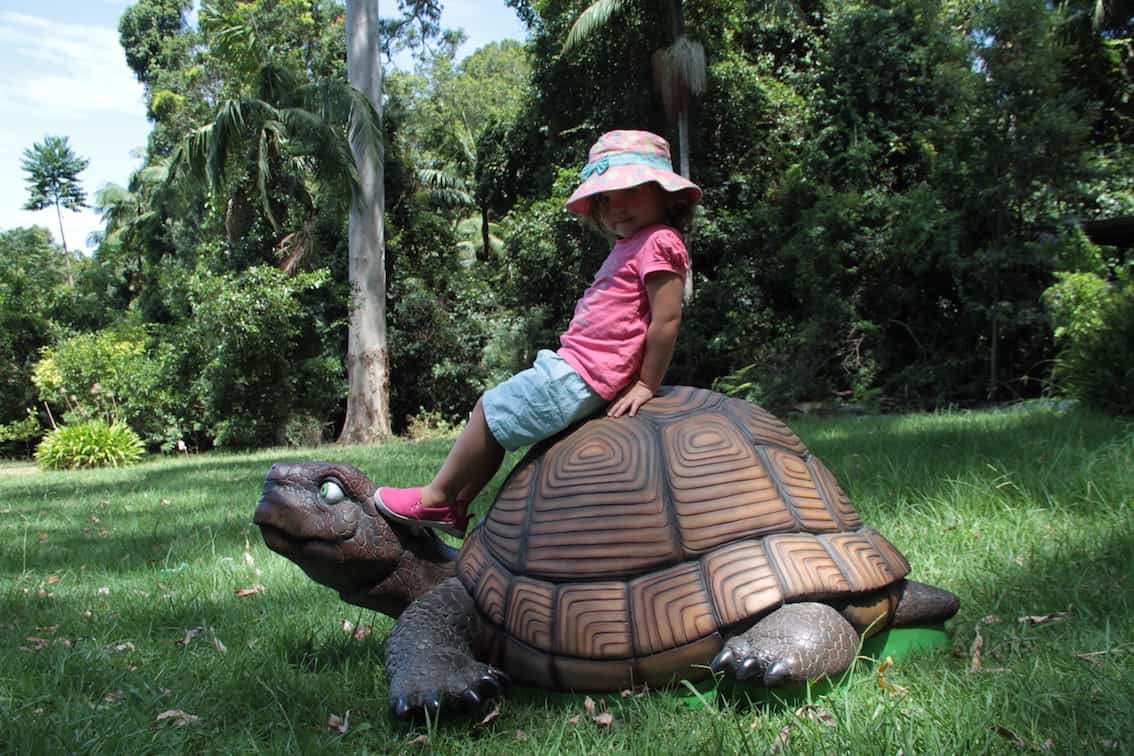 Tortoise