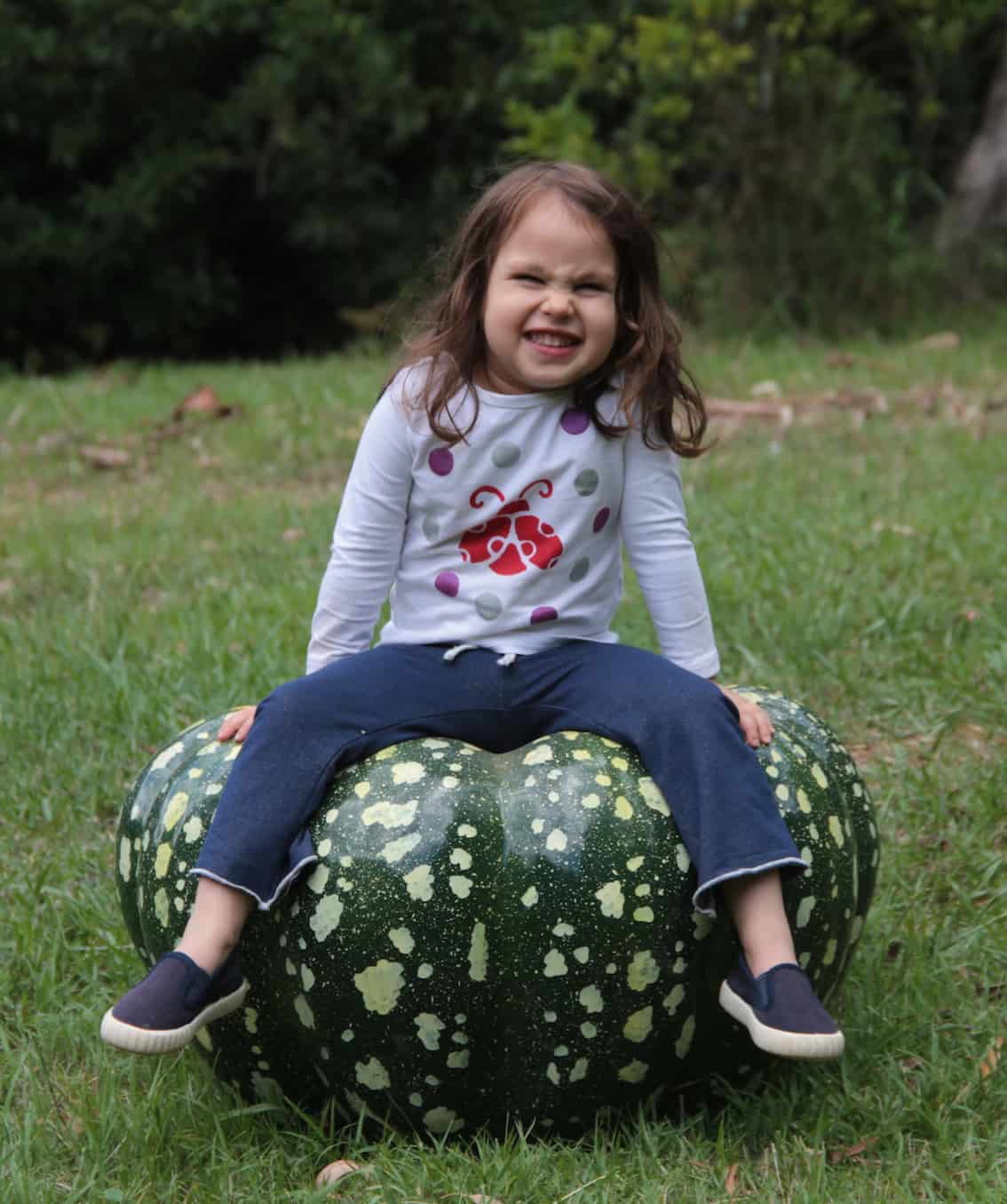 Pumpkin