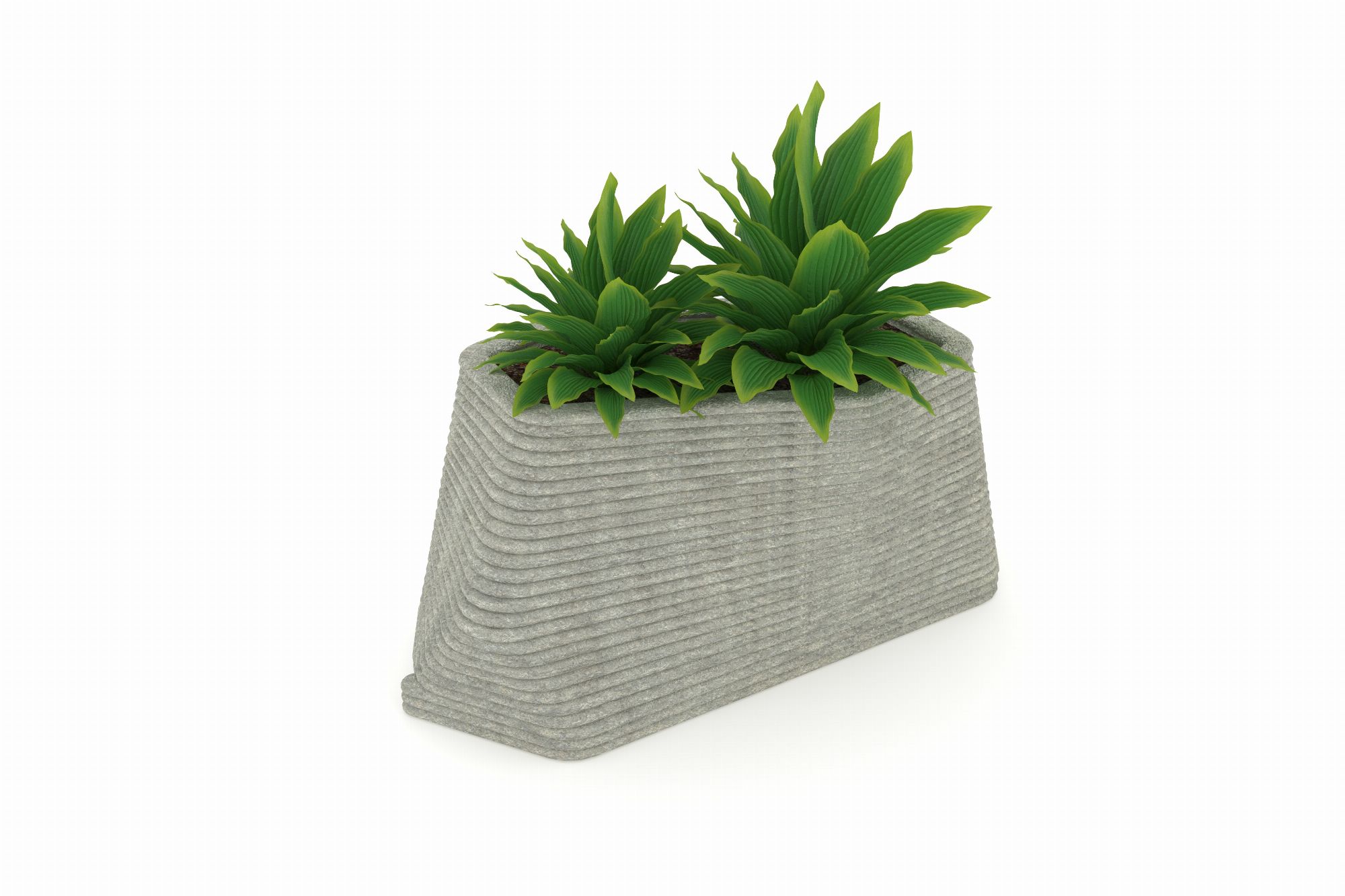 Scutoid Series Flower Pot — CUS 1054