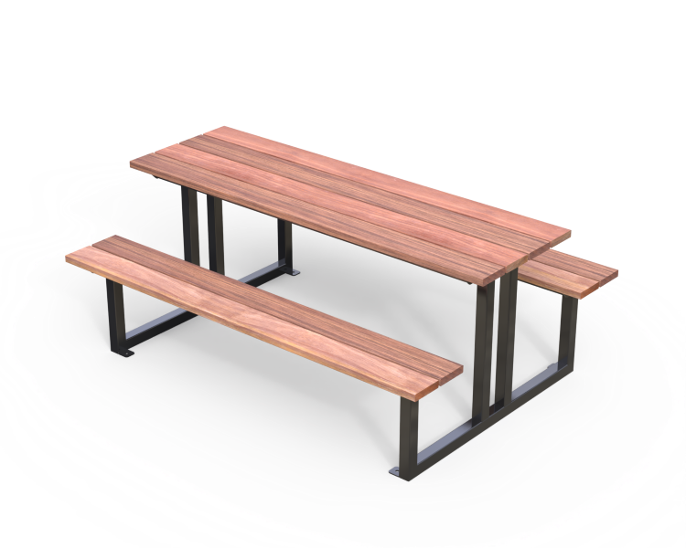 School Picnic Setting