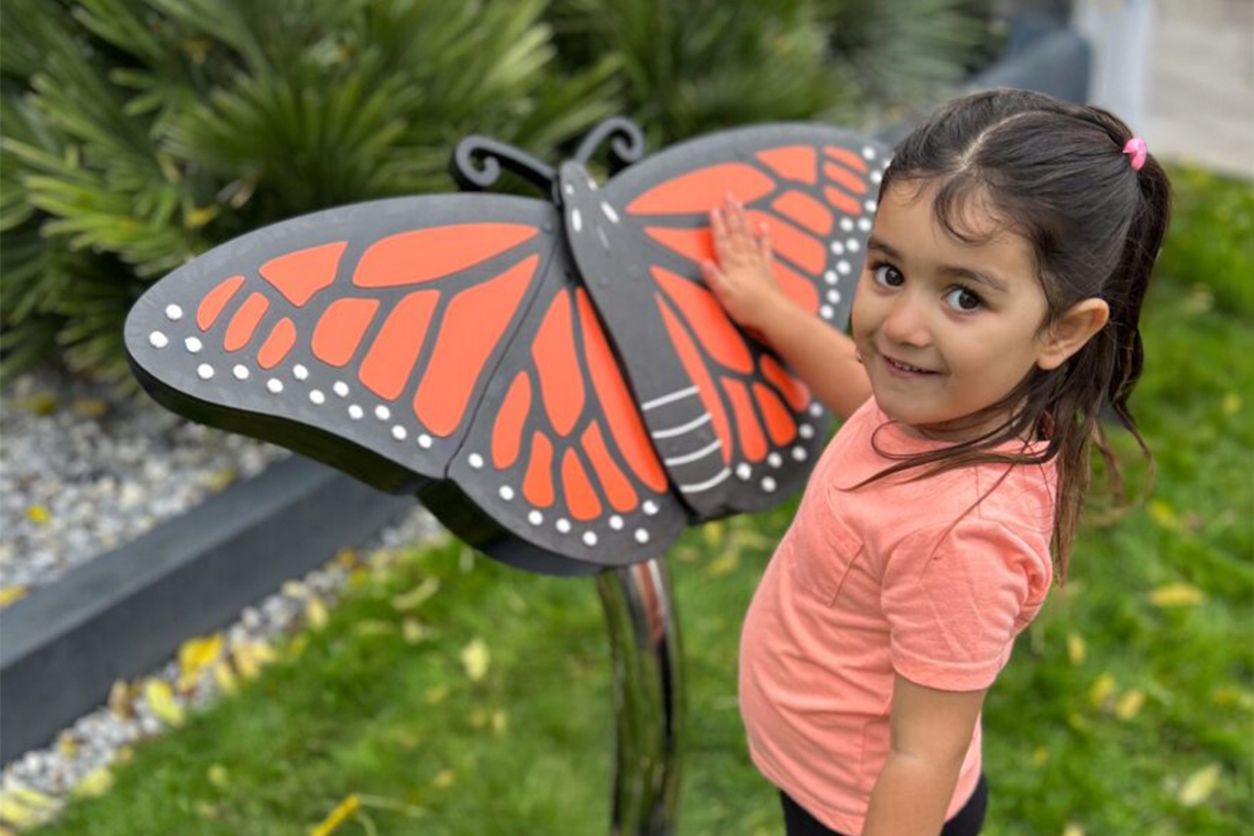 Butterfly
