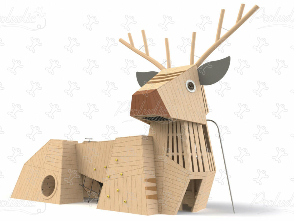 Animals — Deer