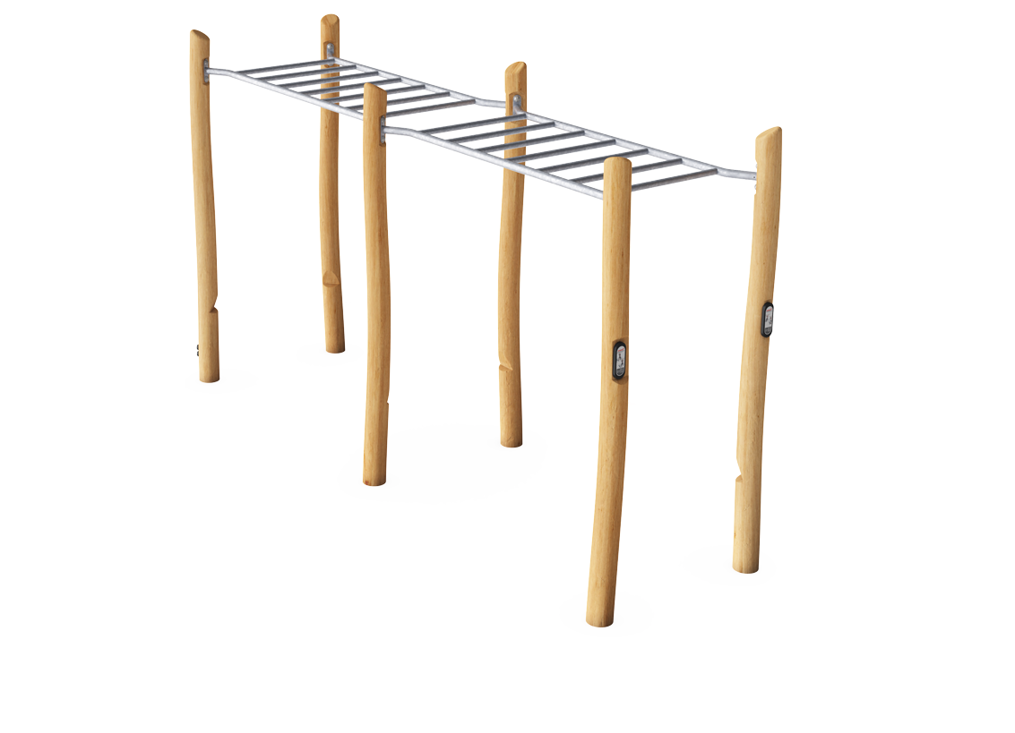 Double Overhead Ladder Robinia